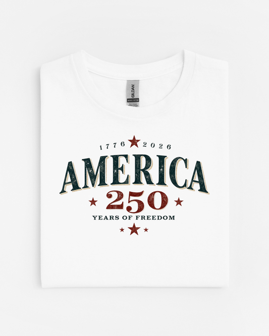 Distressed America 250 Years of Freedom