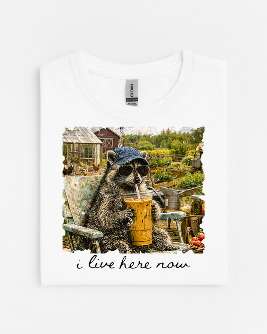 I Live Here Now-Raccoon in Garden